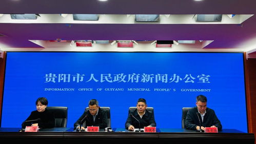 貴陽貴安軟件和信息服務(wù)業(yè)蓬勃發(fā)展 2023年收入突破800億元，技術(shù)服務(wù)成核心驅(qū)動力